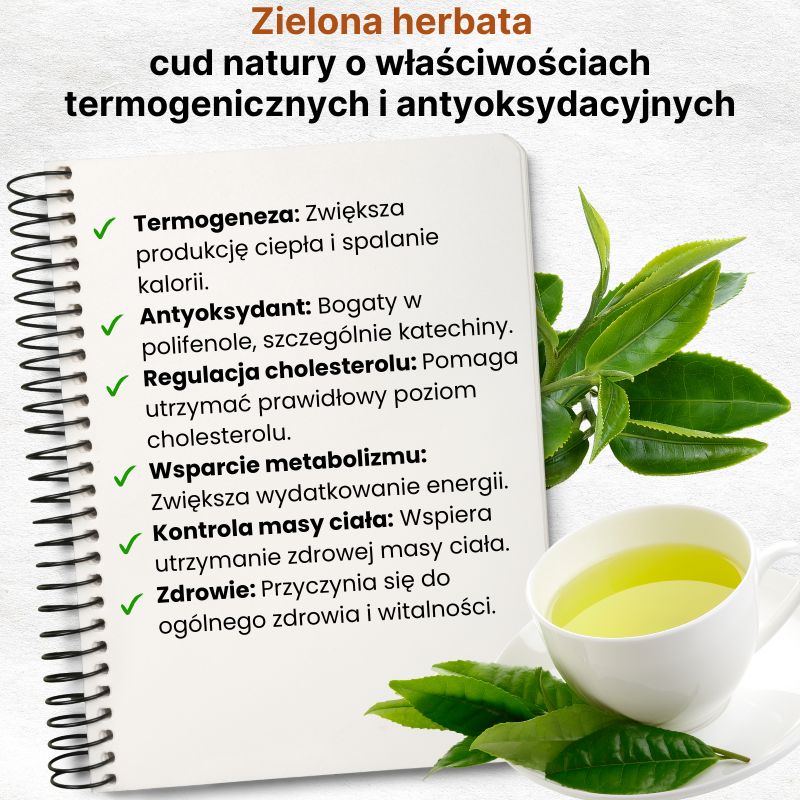 (Polština) Chitosan  Přírodní pomocník při vázání tuků (1)